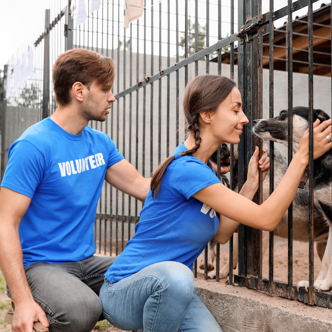 Volunteers with Dog